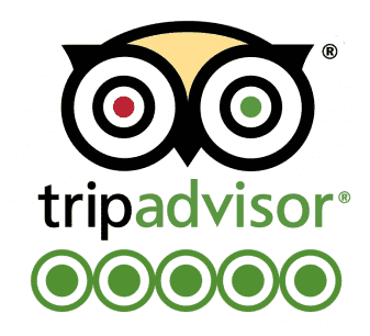 paris palms tripadvisor